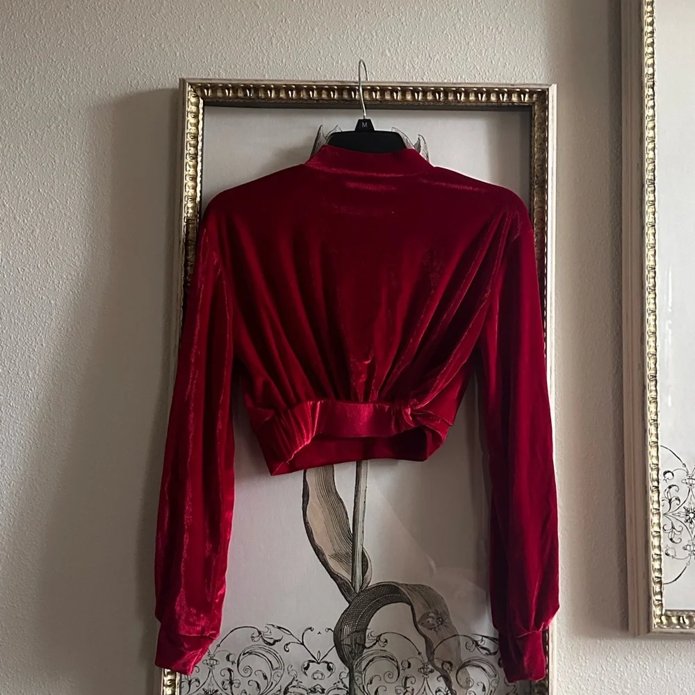 Velvet Red CropTop - Picture 2 of 3